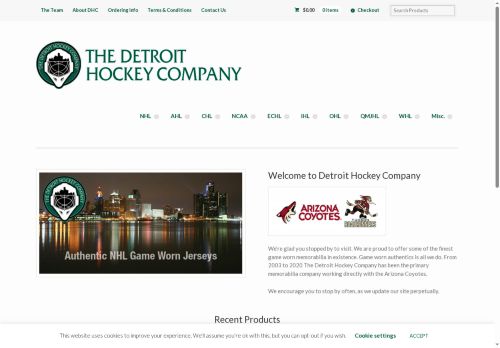 detroithockeyco.com capture - 2025-06-02 16:13:00