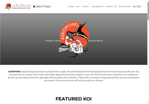 azkoipond.com capture - 2025-06-02 19:38:44