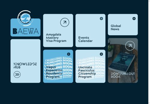 BAEWA capture - 2025-06-02 20:59:03