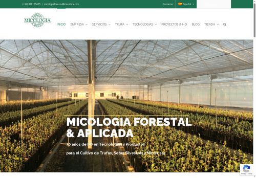 micofora.com capture - 2025-06-03 01:03:10