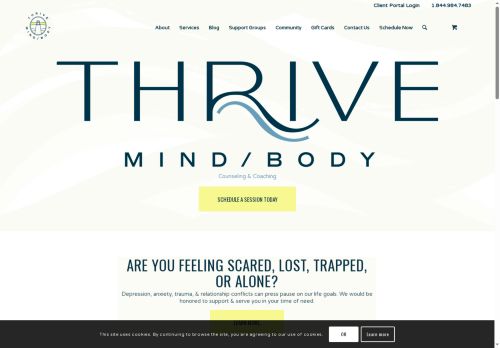 thriveonlinecounseling.com capture - 2025-06-03 01:24:50