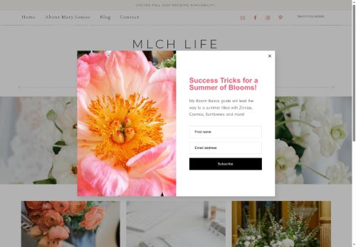 marylouisehagler.com capture - 2025-06-03 04:28:09