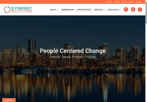 synergyonboards.com capture - 2025-06-03 06:17:57