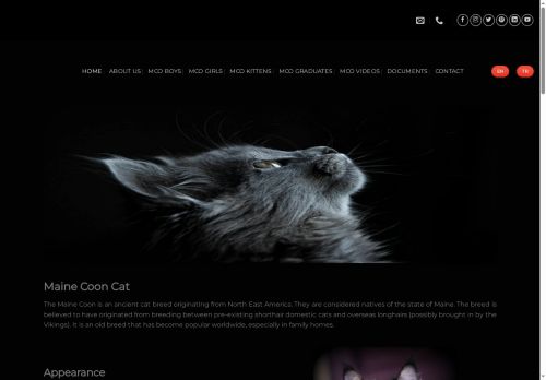 mcocattery.com capture - 2025-06-03 07:58:34