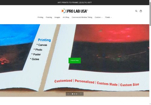 dprolabusa.com capture - 2025-06-03 09:59:02