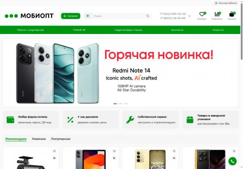 xn--90aokicgv.xn--p1ai capture - 2025-06-03 10:01:06