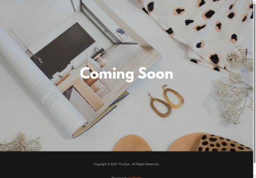 theeye.fashion capture - 2025-06-03 11:17:17