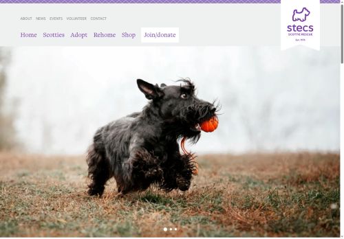 stecs.net capture - 2025-06-03 14:04:22