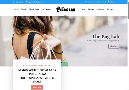 thebaglab.net capture - 2025-06-03 14:48:40