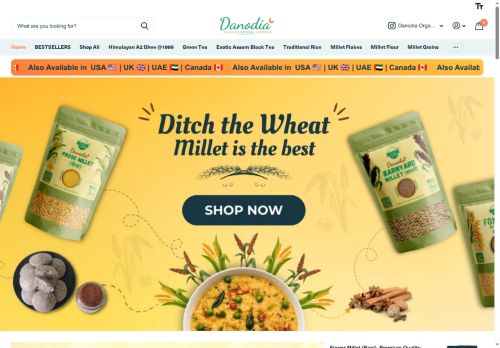 danodiafoods.com capture - 2025-06-03 17:47:43