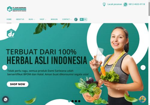 damisariwana.com capture - 2025-06-03 20:51:47