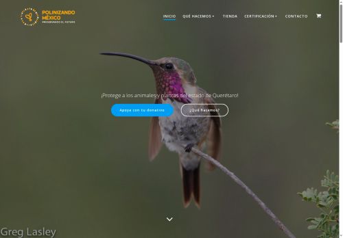 polinizandomexico.org capture - 2025-06-03 21:21:45