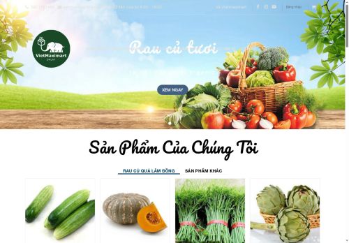 vietmaximart.com capture - 2025-06-03 22:14:03