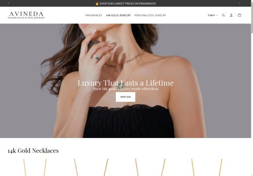 avineda.com capture - 2025-06-03 22:26:05