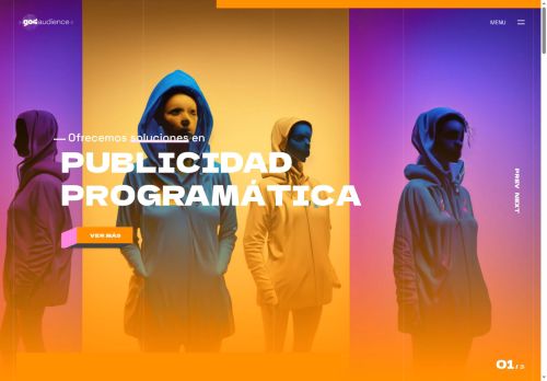 go4audience.com capture - 2025-06-04 00:07:47