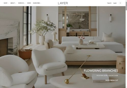 layerny.com capture - 2025-06-04 03:38:57