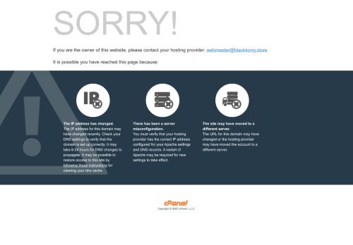 blackkong.store capture - 2025-06-04 04:01:05