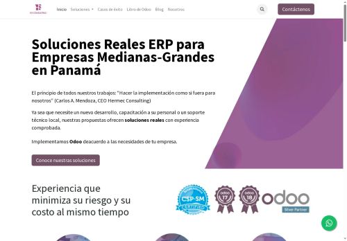 hconsul.com capture - 2025-06-04 04:08:56