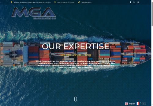 mgagroupcanada.com capture - 2025-06-04 04:25:38