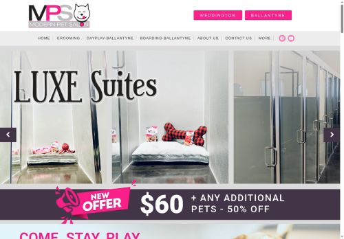 modernpetsalon.com capture - 2025-06-04 09:21:06