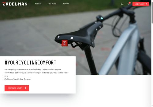 zadelman.com capture - 2025-06-04 09:50:21