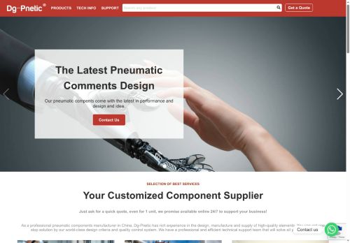 dg-pnetic.com capture - 2025-06-04 11:39:38