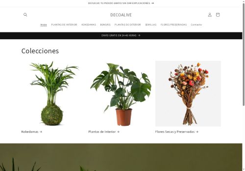 decoalive.com capture - 2025-06-04 11:49:24