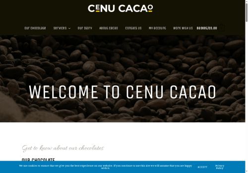 cenucacao.co.uk capture - 2025-06-04 13:34:27