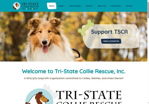tristatecollierescue.org capture - 2025-06-04 14:21:57