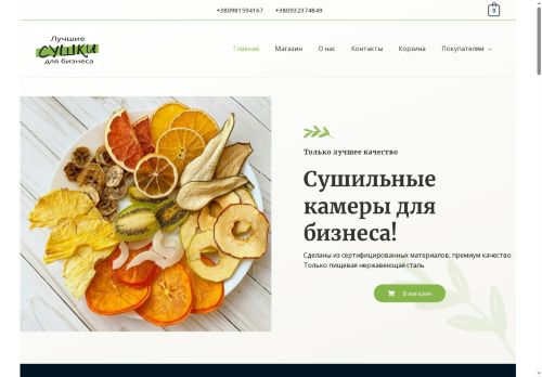 sushka.biz capture - 2025-06-04 16:47:53