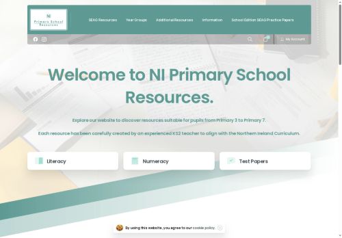 niprimaryschoolresources.com capture - 2025-06-04 18:24:43