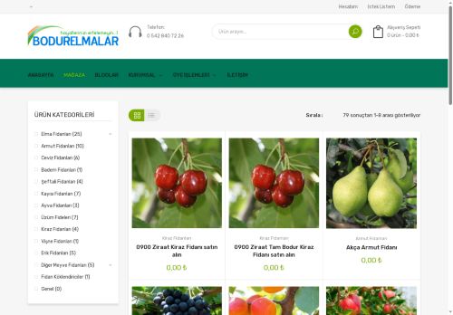 bodurelmalar.net capture - 2025-06-04 22:08:27