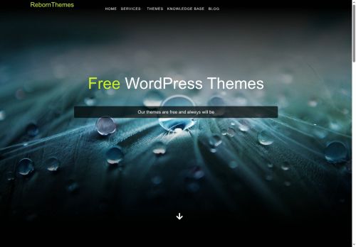 rebornthemes.com capture - 2025-06-04 22:34:17