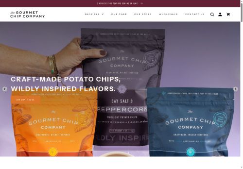 gourmetchipcompany.com capture - 2025-06-05 01:37:07