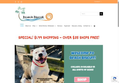 Beach Biscuit capture - 2025-06-05 05:10:15