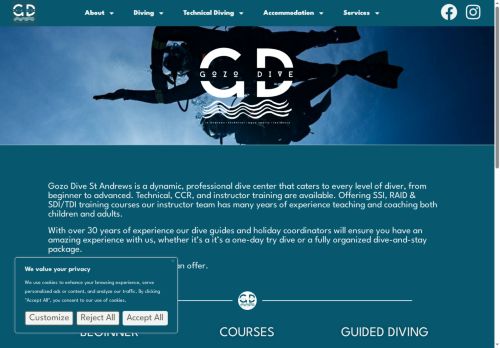 gozodive.com capture - 2025-06-05 05:30:35