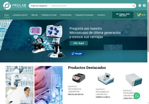 prolabdemichoacan.com capture - 2025-06-05 06:18:28