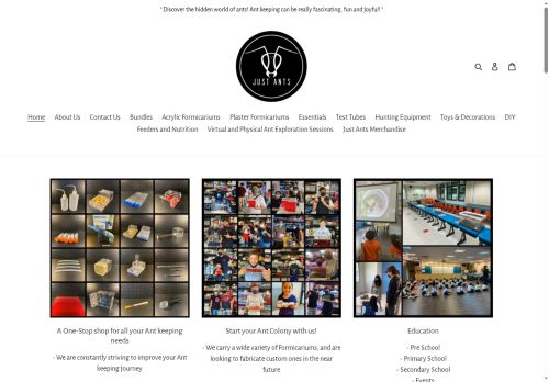 justants.shop capture - 2025-06-05 07:43:43