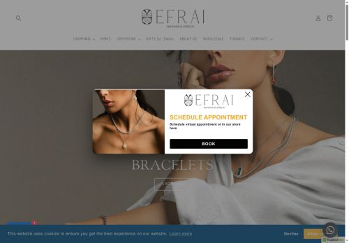 efrai.com capture - 2025-06-05 08:02:35