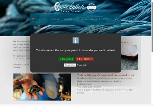 groixhaliotis.com capture - 2025-06-05 10:23:57