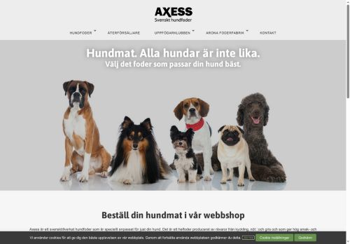 axess.nu capture - 2025-06-05 11:42:19