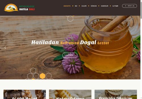 hatilabal.com capture - 2025-06-05 13:55:22