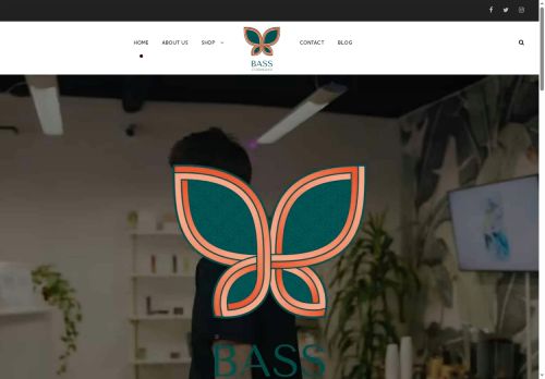 basschiropractic.com capture - 2025-06-05 15:19:05