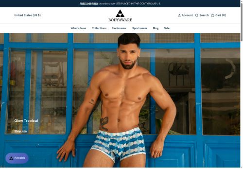 aceandindigo.com capture - 2025-06-05 17:35:27