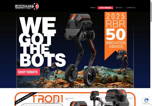 lookingglass.services capture - 2025-06-06 00:23:16