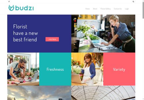 budzi.com capture - 2025-06-06 03:13:53