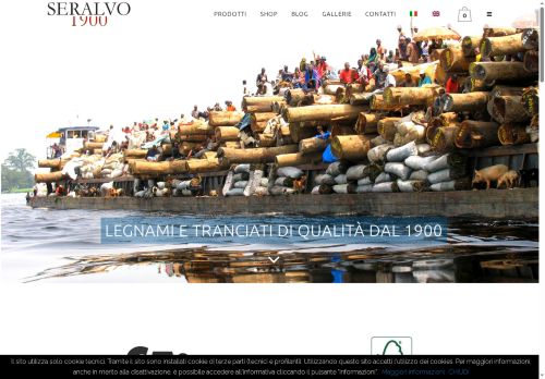 seralvo.com capture - 2025-06-06 03:25:44