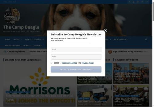 thecampbeagle.com capture - 2025-06-06 04:06:45