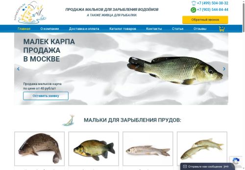 xn--80acqsxo4dlz.xn--p1ai capture - 2025-06-06 08:46:38