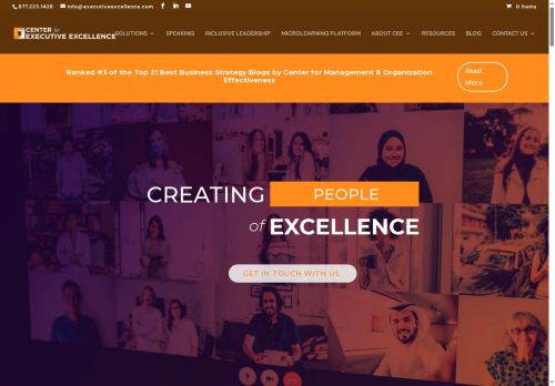 executiveexcellence.com capture - 2025-06-06 08:51:12